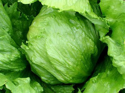 Fresh produce straight from the farm