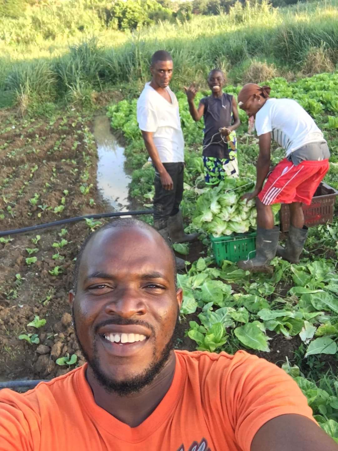 Fresh produce straight from the farm