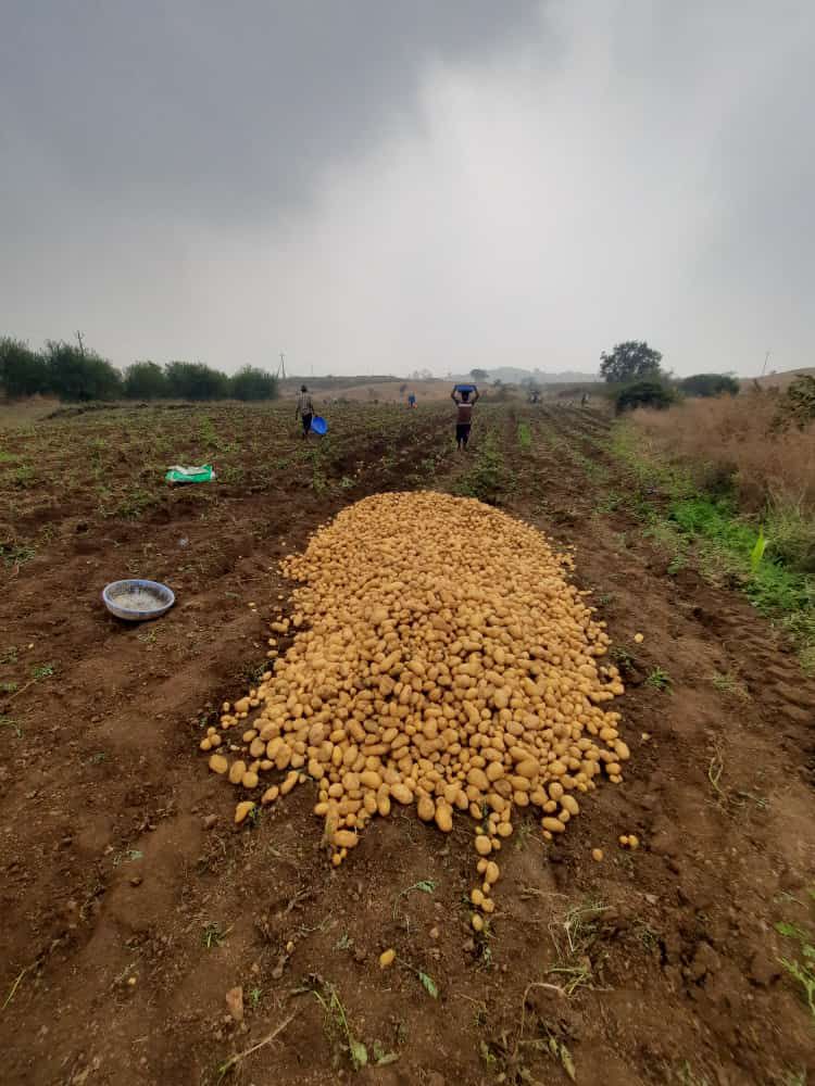 Fresh produce straight from the farm