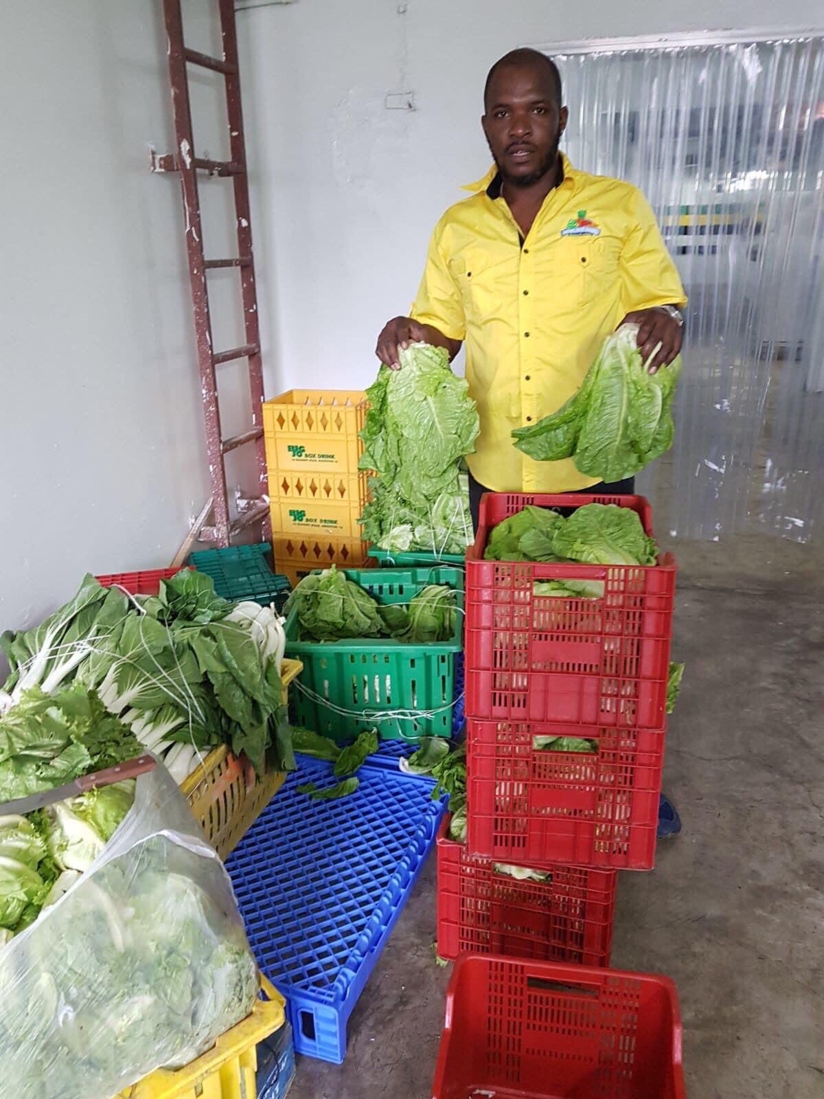 Fresh produce straight from the farm