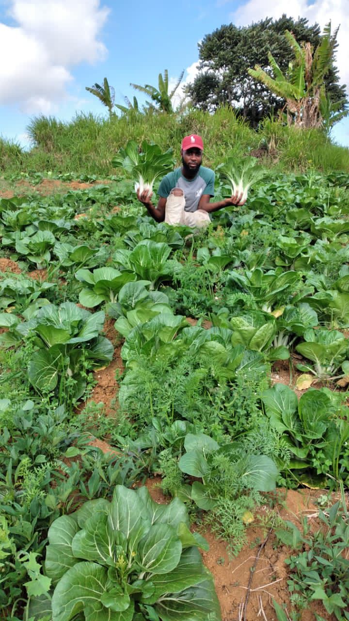 Fresh produce straight from the farm